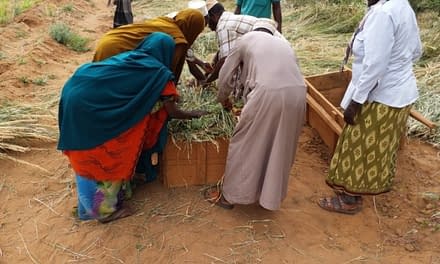 Combatting drought in Kenya through Agro-Pastoralist Field Schools