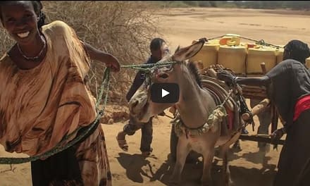 WATCH IGAD Gender and Resilience Knowledge Share Fair 2022