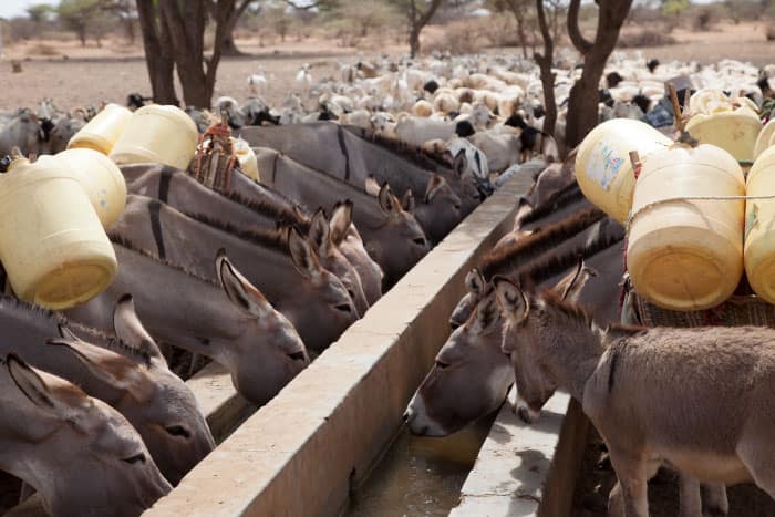 Kenya’s National Drought Management Authority trains on the improved Di Monitoring tool
