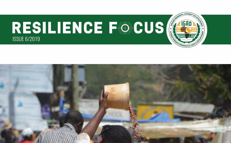 Call for articles for the next edition of the Resilience Focus Magazine