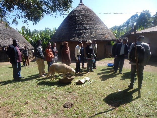 Regional Pastoral Livelihoods Project (RPLRP)