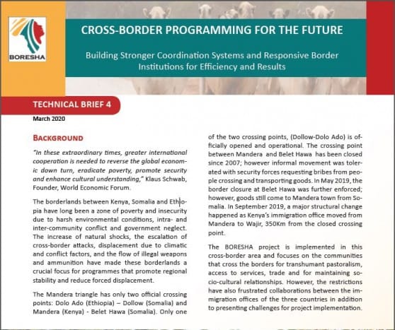 Cross-Border Programming for The Future-Building Stronger Coordination Systems and Responsive Border Institutions for Efficiency and Results