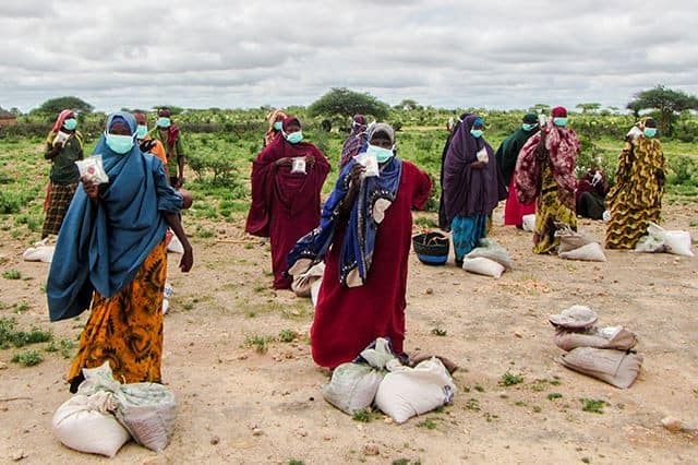 Urgent action required to prevent a major food crisis in Eastern Africa: IGAD-FAO-WFP joint statement 27 July 2020