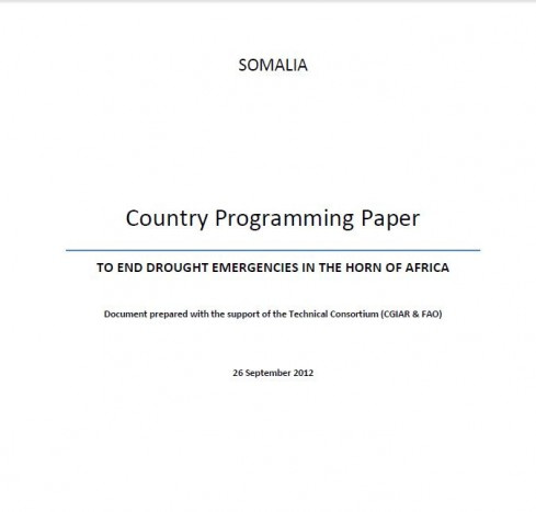South Sudan Country Programming Paper- To End Drought Emergencies in the Horn of Africa