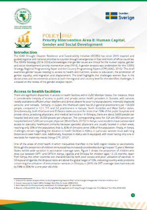 Gender and Resilience Policy Brief – Increasing access to natural resources for women in the IGAD region