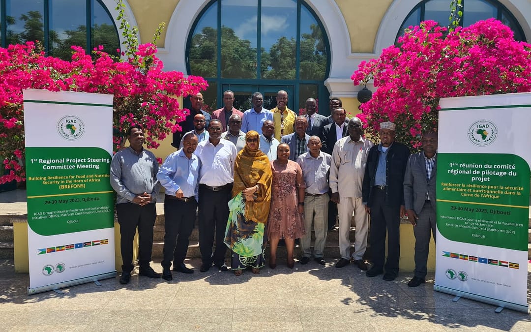 The first Regional Steering Committee Meeting of the program to Build Resilience for Food and Nutrition Security in the Horn of Africa (BREFONS) was organized in Djibouti